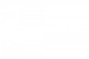 marca-detroit